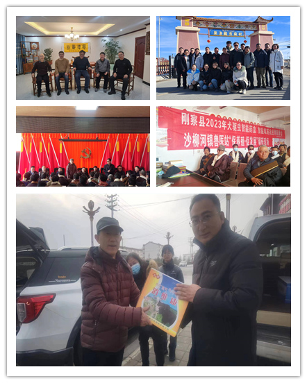 简报二.jpg