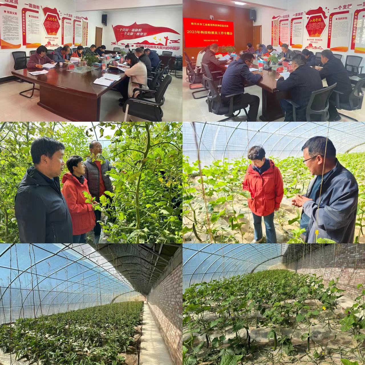 微信图片_20231018212845.jpg