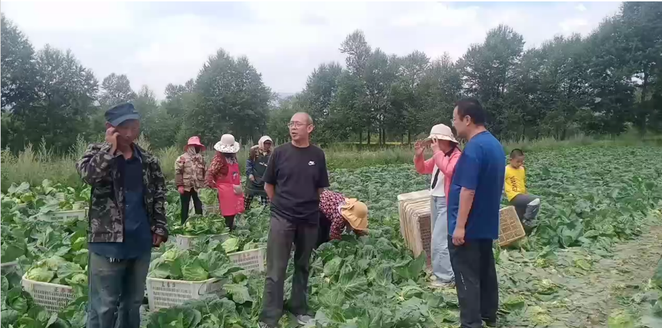 图片8.png