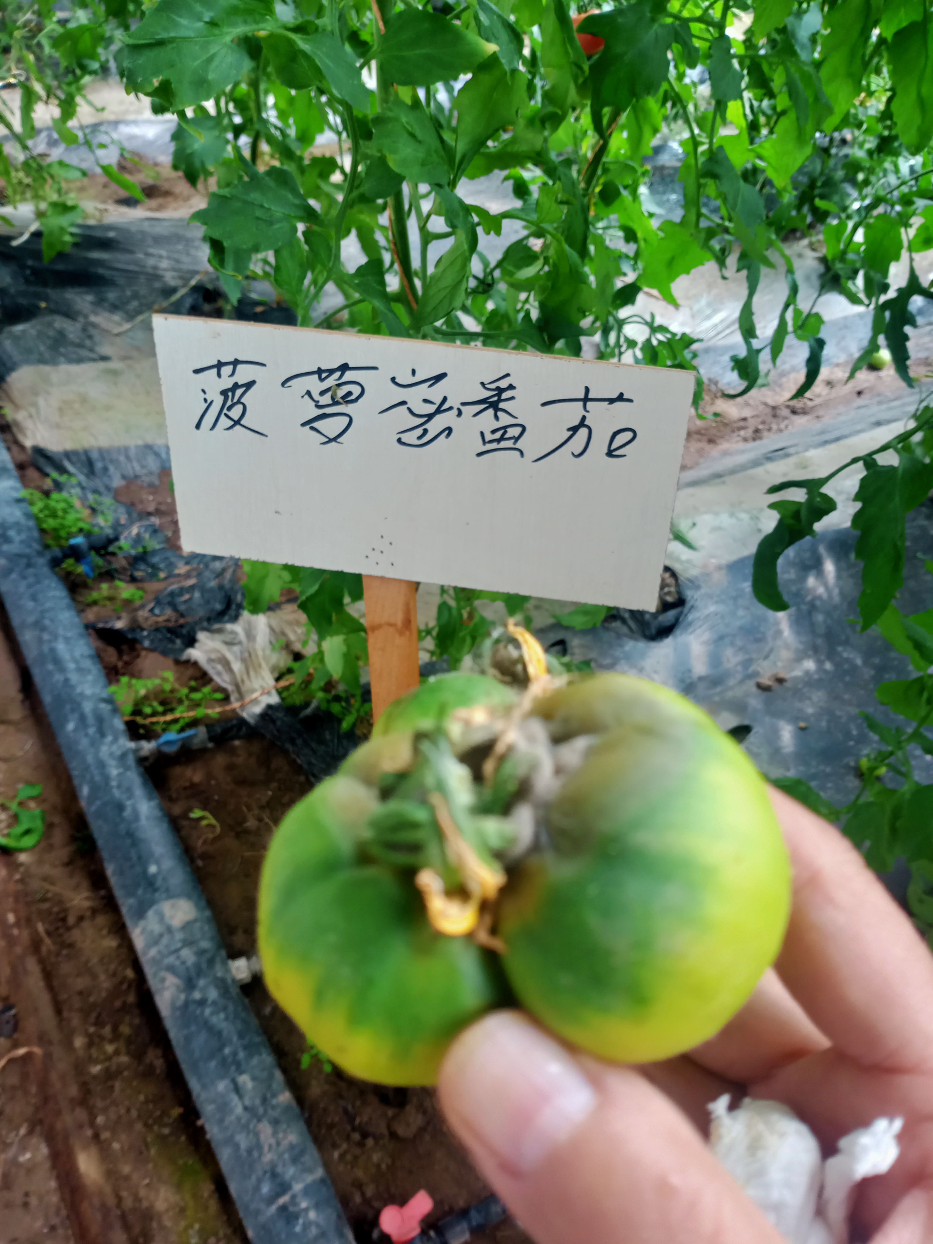 图片21.png