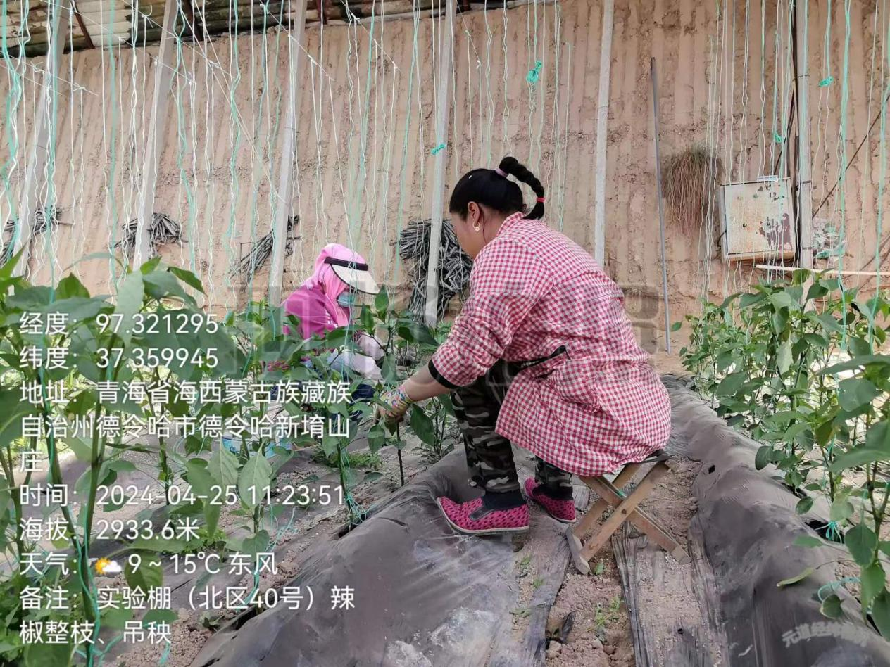 图片6.png