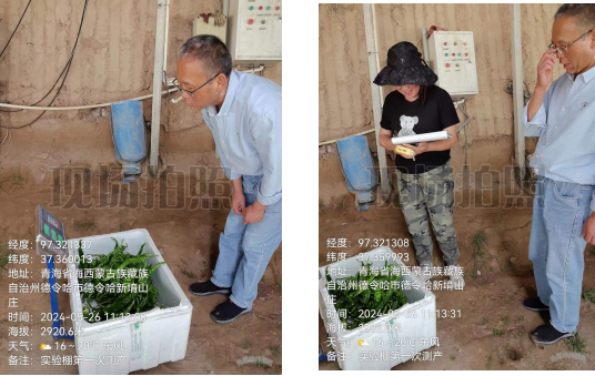 图7.png