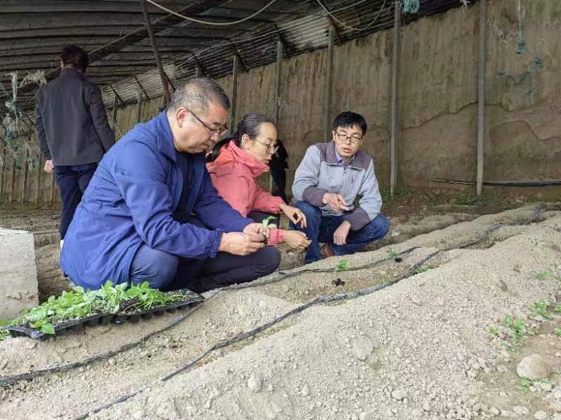 简报14.jpg